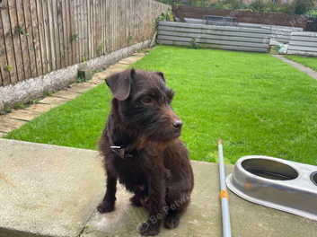 Patterdale freeads cheap