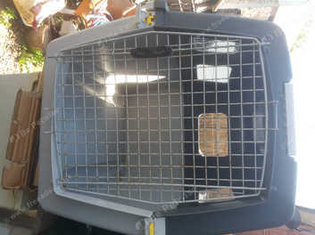 Furrari 550 dog outlet crate