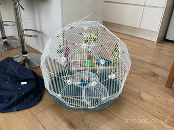 Geo Bird Cage for Budgies