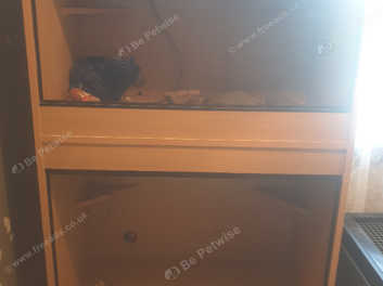 Double vivarium outlet cabinet