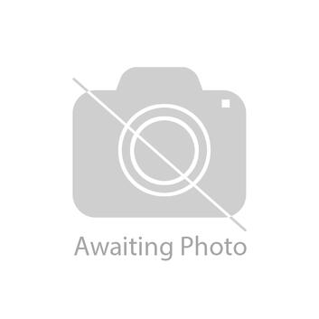 German Shepherd Puppies and Dogs for sale in Belper Freeads