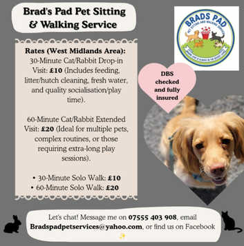 Pet Services in Wirral Find Pets at Freeads in Wirral's #1
