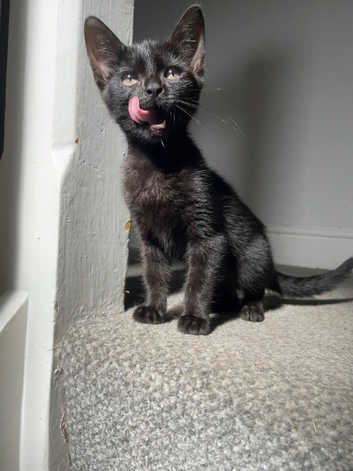 BABY BLACK GIRL!