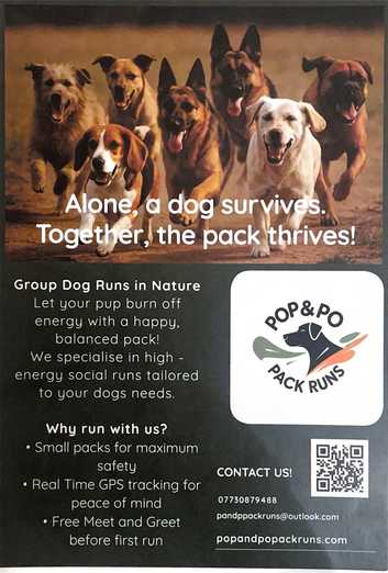 Dog Walking and Sitting Services in Cornwall Find Pet Services