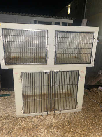 Kennels in Cannock Pet Services Freeads