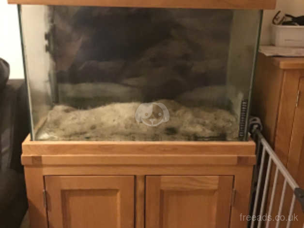 Fish Tank And Cabinet In Newbury Rg14 On Freeads Classifieds