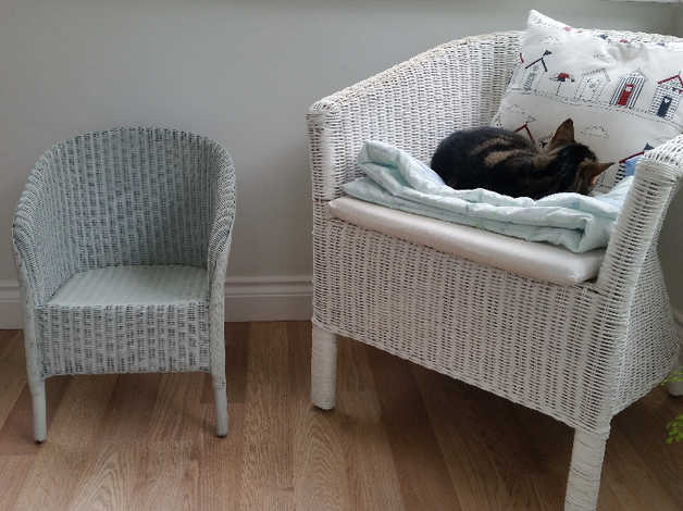 Lloyd Loom Childs Vintage Chair In Paignton