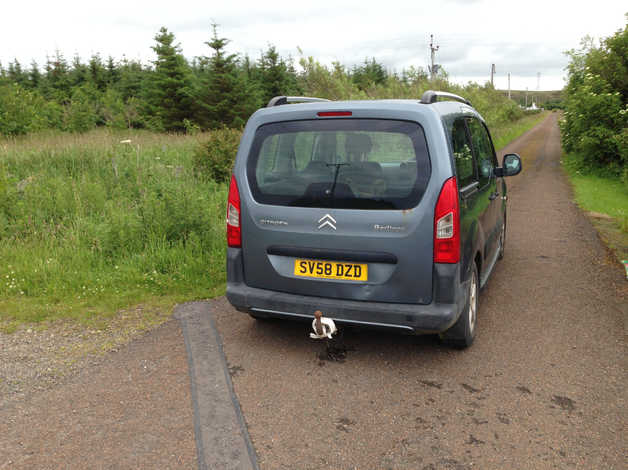 Citroen Berlingo Multispace, 2008 (58) Grey MPV, Manual Diesel, 89,396 miles - Image 5