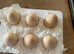 6 buff Orpington hatching eggs