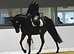 Dressage/Fun Horse