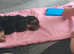 4 and half month yorkiepoo