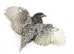 Gold And Silver Sebright Chicks- available