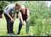 Male Carer & Befriender Services
