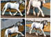 TOP CLASS COLOURED GELDING - NATIVE BLUE & WHITE PB