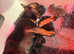 Lovely pet priced boy and girl