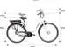 Electric bike F.lli Schiano RRP £949