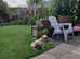 Frenchie cross border terrier male
