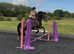 15:3h Irish sport horse chunky gelding alrounder