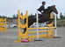 14.1h 8yr old Conamarra