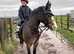 SOLD...........Perfect child's pony 12.2hh bay mare