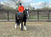 Bell super safe Irish cob