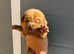 Dogue de bordeaux show quality puppies