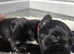 Labrador puppies chocolate and black