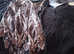 Bundle of ladies clothes size 14 ex condition £30