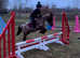 Meet Fizz a bombproof my 1st 2nd pony she does everything when told gentle pony