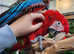 SUPER tame greenwing macaw baby!!