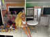 Rainbow High Doll House