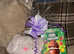 Easter hampers