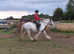 14.3h weight carrying 9yr old ride and drive mare