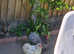 2 x Pekin Bantam hens