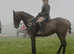 Serious showjumping schoolmistress