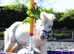 Rare Max White Partbred Falabella Filly