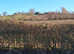 Freehold plot modern lodge may take p/x boat