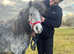 Lovely, Easy 10.2hh Lead Rein, First First Ridden, Show or Therapy Pony Project age 4 Healthy, Tame & Up-to-Date