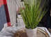 Faux plant in white pot