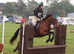 14.2hh, 9 year old mare