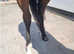 Head turning American bred Gelding