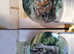 Collectible plates x10