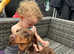 KC REG MINIATURE DACHSHUND LITTER