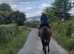 Stunning and substantial 17h 9yo Irish NH /Pt2Pt ROR bay TB gelding