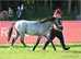 Absolute legend of a pony
