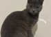 Female 8mth old