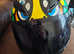 AGV k-3 SV Large helmet