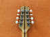 Dragon Back Mandola, fantastic sound, fantastic look!