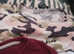 Bundle of girls clothes age 9/10 years old ex condition £25