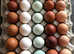 Hatching eggs for sale * traditional and rare breeds *